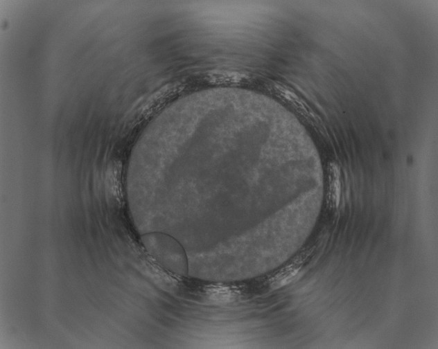 X0000087330616200705181038