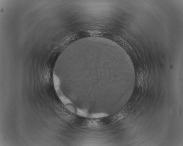 X0000087330618200705181038