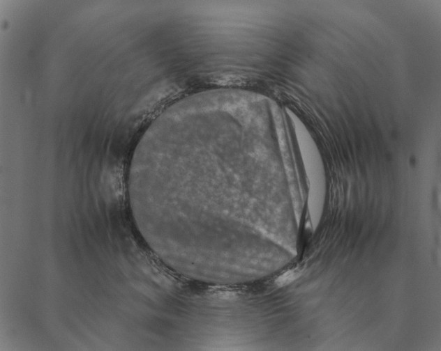 X0000087330620200705181038