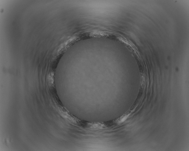X0000087330621200705181038