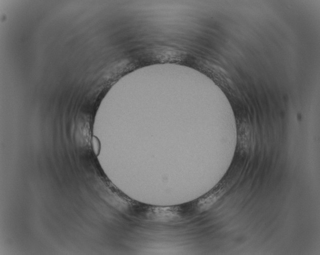 X0000087330622200705181038
