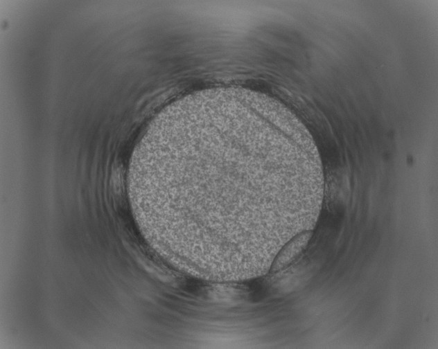 X0000087330623200705181038