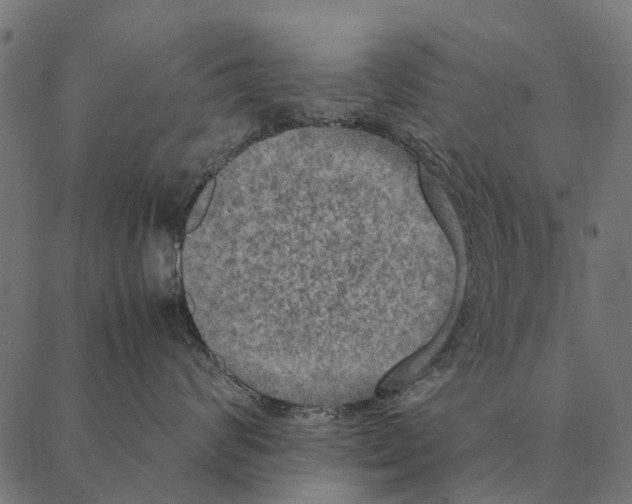 X0000087330624200705181038