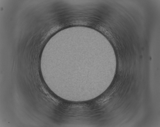 X0000087330625200705181037