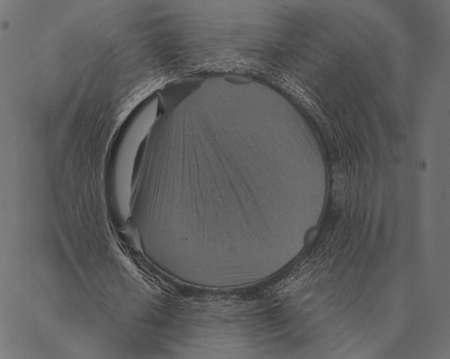 X0000087330626200705181037