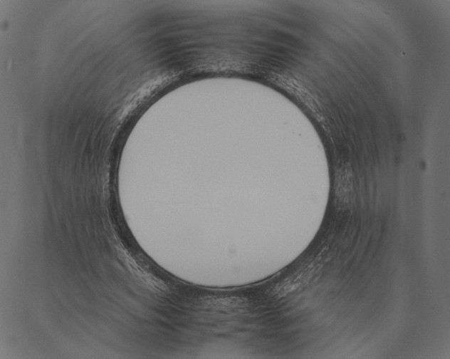 X0000087330629200705181037