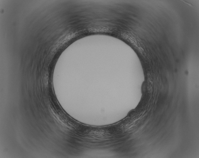 X0000087330631200705181037