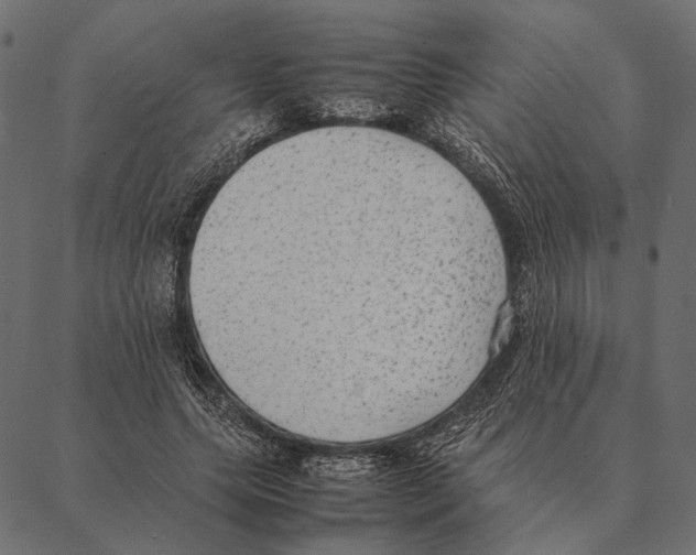 X0000087330639200705181037