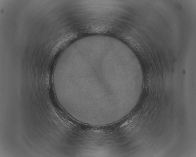 X0000087330640200705181037
