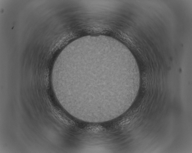 X0000087330642200705181037