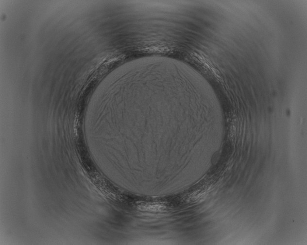 X0000087330643200705181037