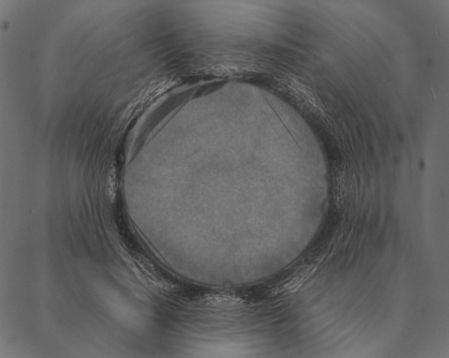 X0000087330644200705181037