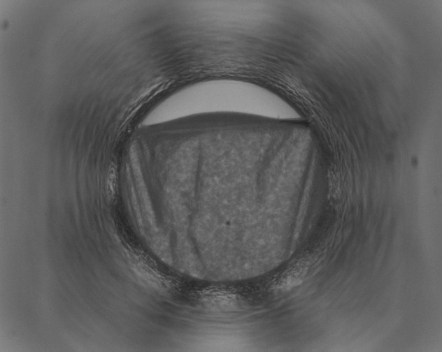 X0000087330648200705181037