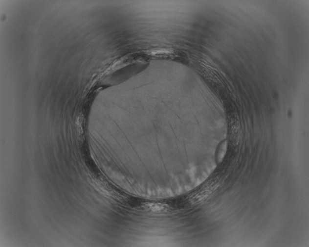 X0000087330654200705181037