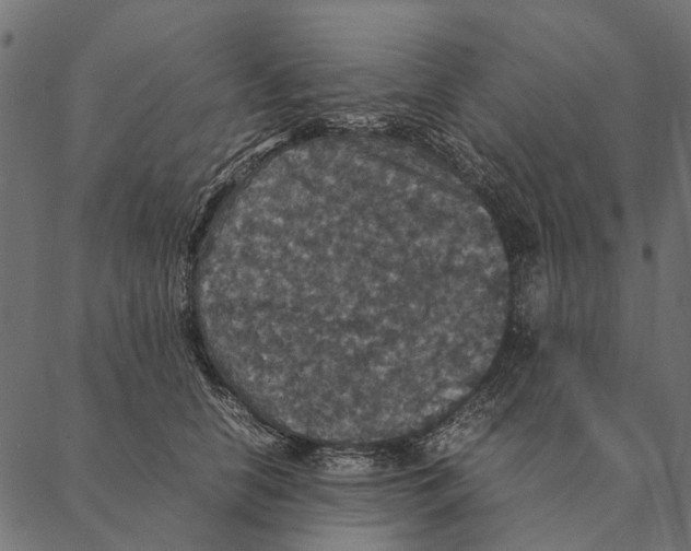 X0000087330658200705181037