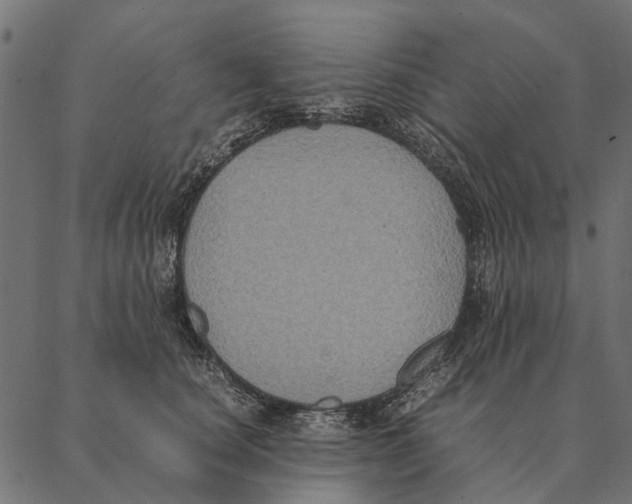 X0000087330660200705181037