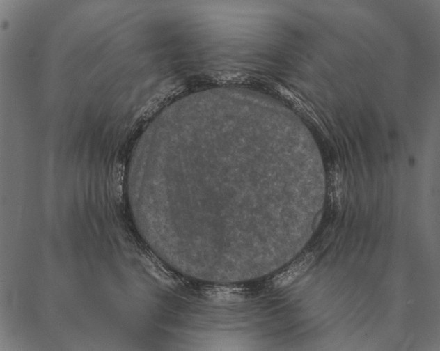 X0000087330664200705181037