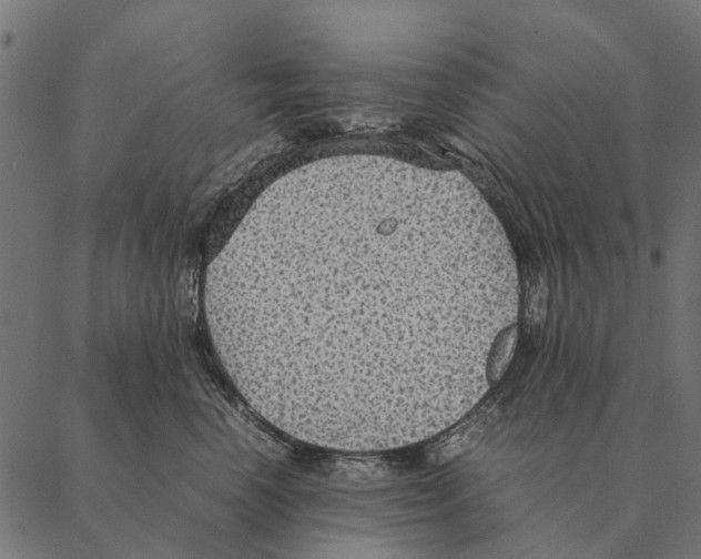 X0000087330666200705181037