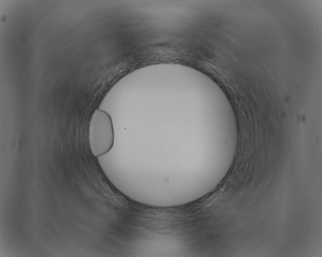 X0000087330672200705181038