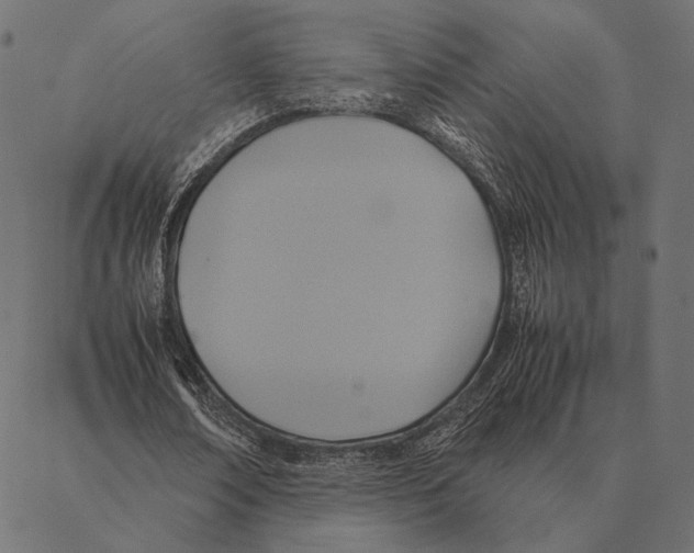 X0000087330674200705181037
