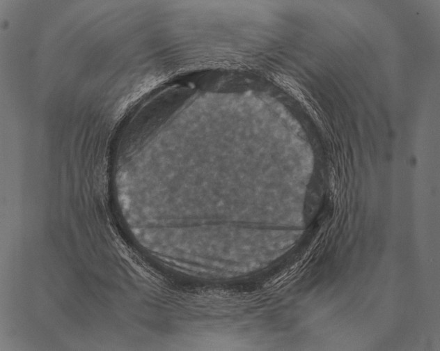 X0000087330677200705181037