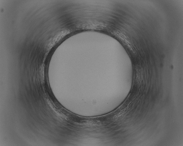 X0000087330678200705181037