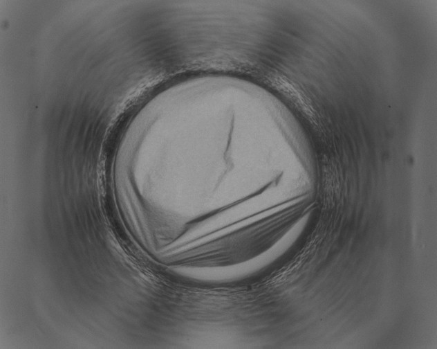 X0000087330680200705181037