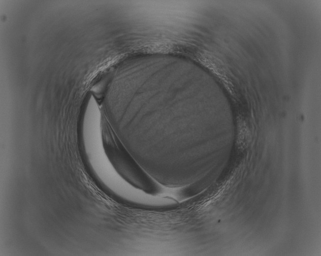 X0000087330681200705181037