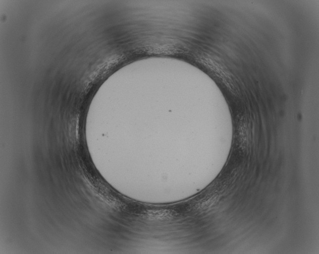 X0000087330686200705181037