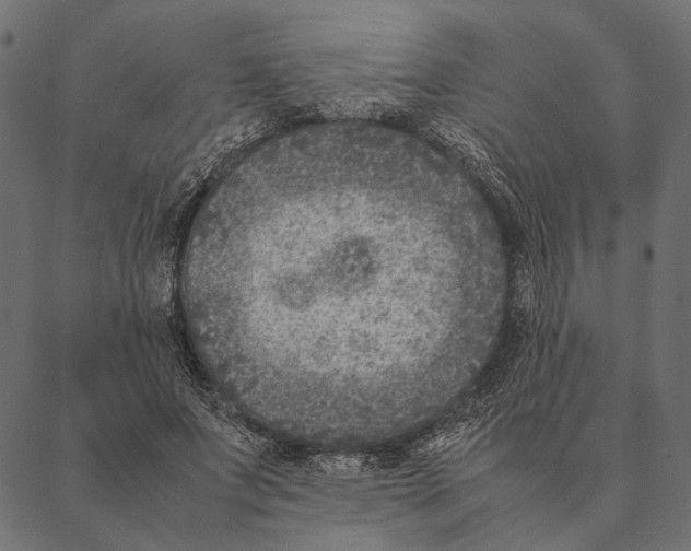 X0000087330687200705181037