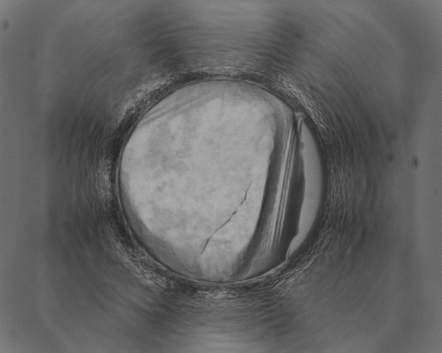 X0000087330688200705181036