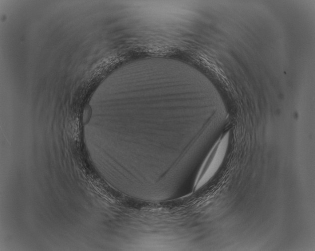 X0000087330689200705181036