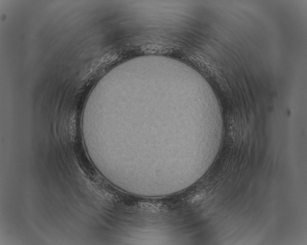 X0000087330690200705181036