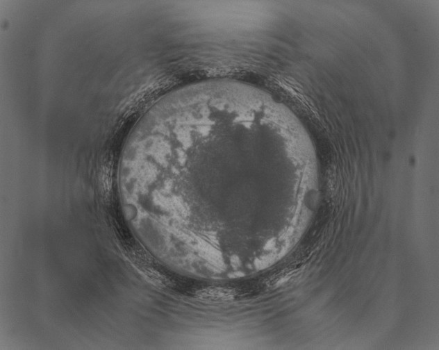 X0000087330691200705181036