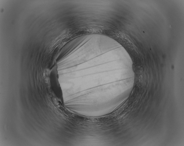 X0000087330696200705181036