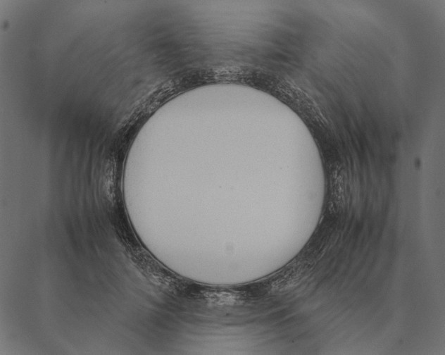 X0000087330698200705181036