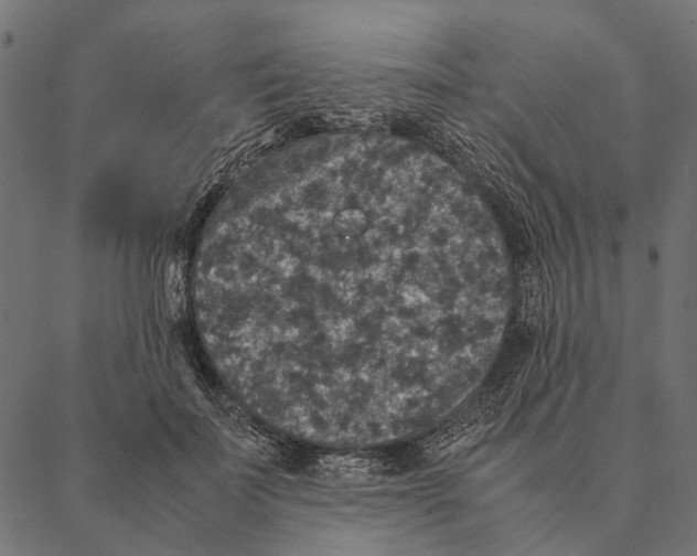 X0000087330699200705181036