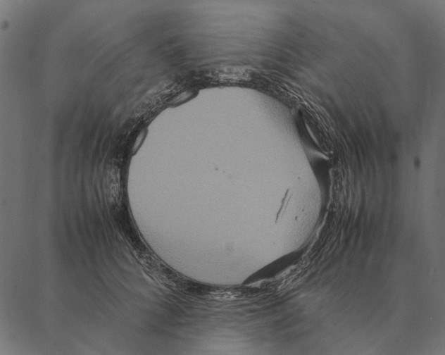 X0000087330704200705181036