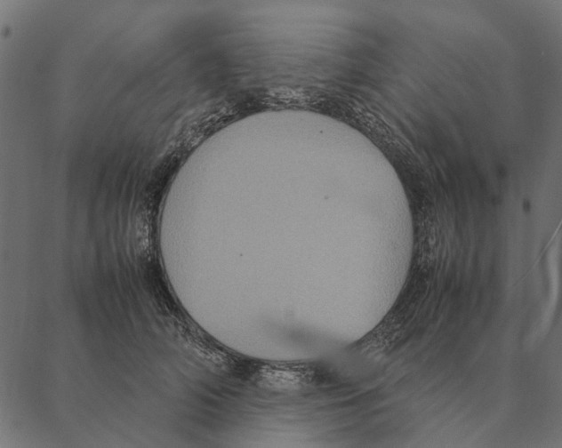 X0000087330706200705181036