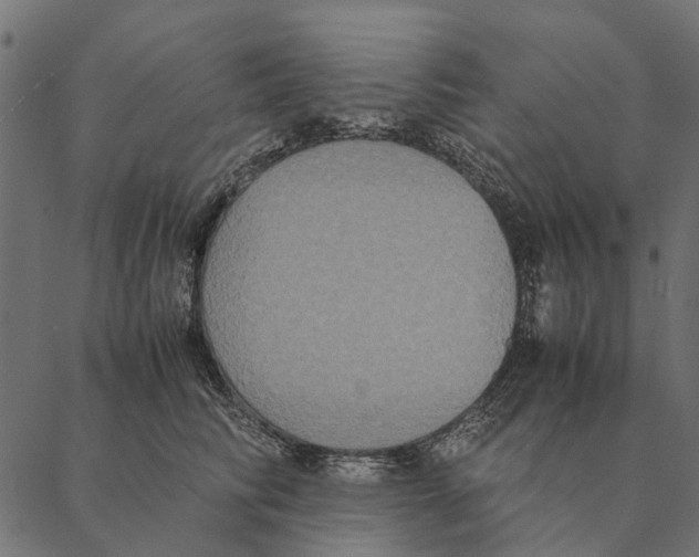 X0000087330710200705181036