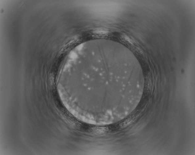 X0000087330711200705181036