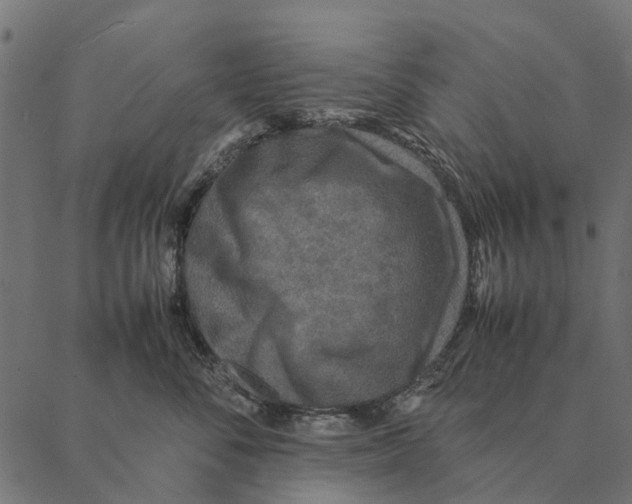 X0000087330716200705181036