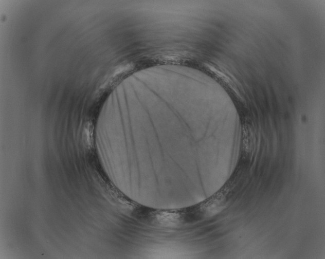 X0000087330718200705181036