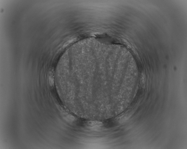 X0000087330719200705181036
