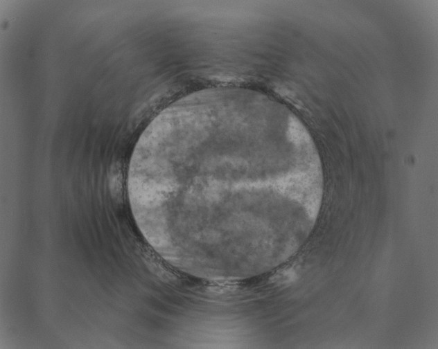 X0000087330720200705181036