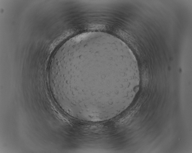 X0000087330721200705181035