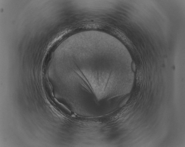 X0000087330722200705181035