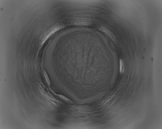 X0000087330723200705181035