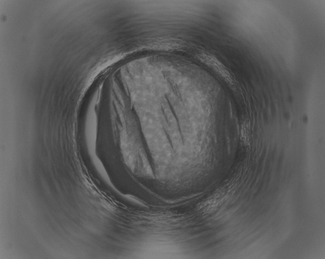 X0000087330724200705181035