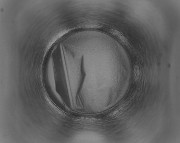 X0000087330726200705181035